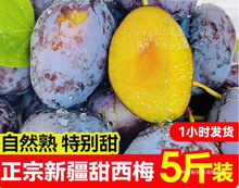 �½���÷���rˮ�����ڷ��m���Y�а��]�ЋD���ӿ�ʲ��÷�r�������