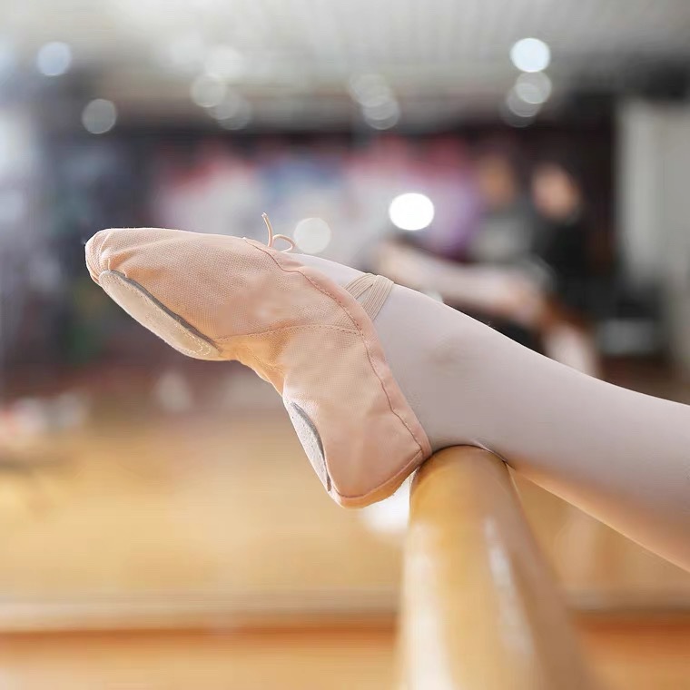 Dance Shoes, Practice Shoes, Cat Claw Shoes, Ballet Shoes for Adults and Children, Soft-Soled Yoga Shoes, Gymnastics Shoes, Body Shoes, Dance Shoes