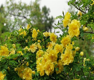 �|�������ͺ����ذꅲ���S��õ�������S��õ�G�h���S��õ�r��