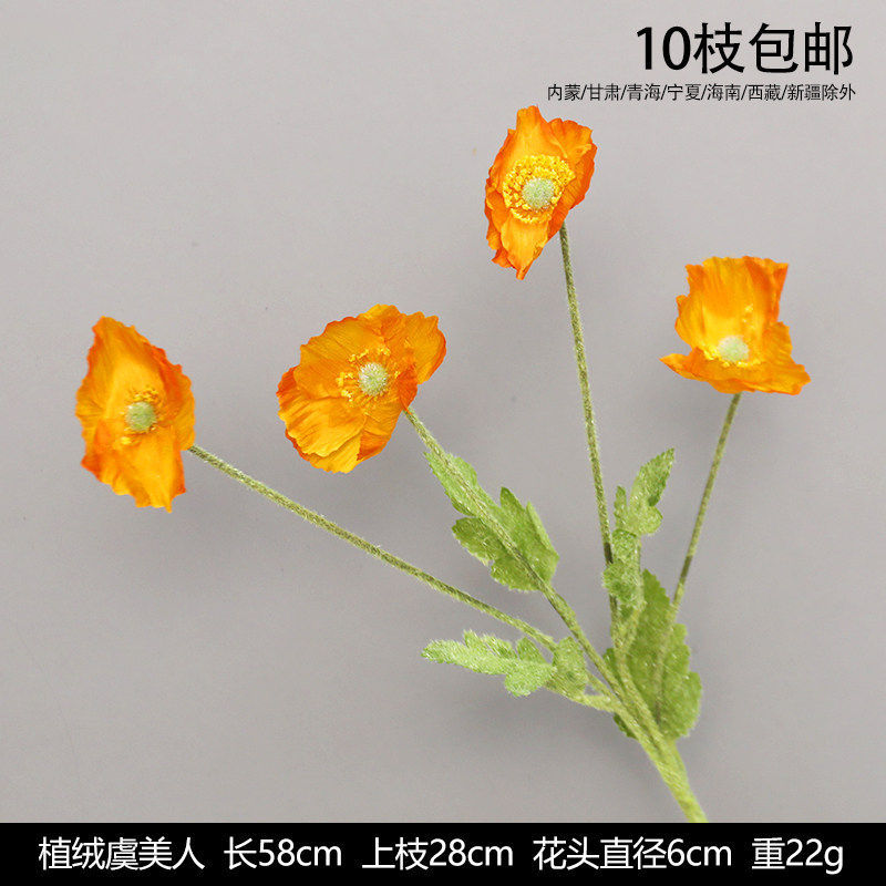 植绒虞美人