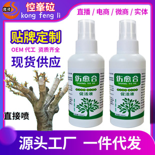 ֲ��������τ��޽Ӵٻ�Һ����ľ�辰�пڌ������τ��޽��¿��