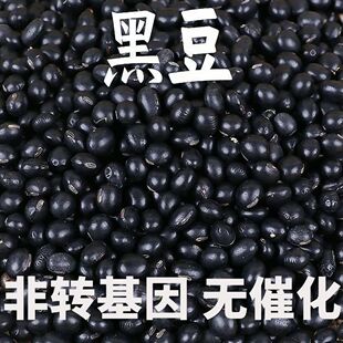 �G�ĺڶ�ɢ�b���ڷ��D�����С���lѿ���{��С���r�Ҷ�������s�Z
