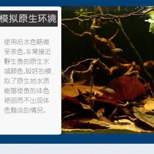微信图片_20240730232910.jpg