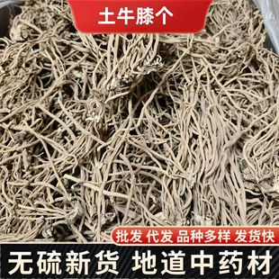 Herbals��ţϥ��ș�� ���w��ţϥ ���۲ݸ� ��؛ˮϴ������l���l