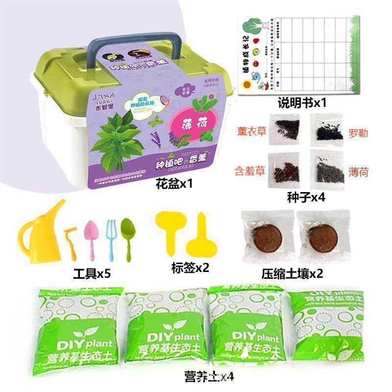 Jardín de infantes tareas de ciencia y educación para niños DIY plantación de plantas verdes plantas de flores en maceta semillas de regalo caja ciega