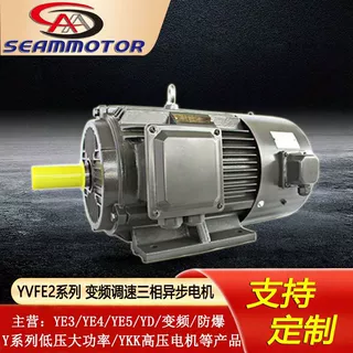 河北西玛电机定制生产YVFE2(YVP)2/4/6/8极变频调速三相异步电机