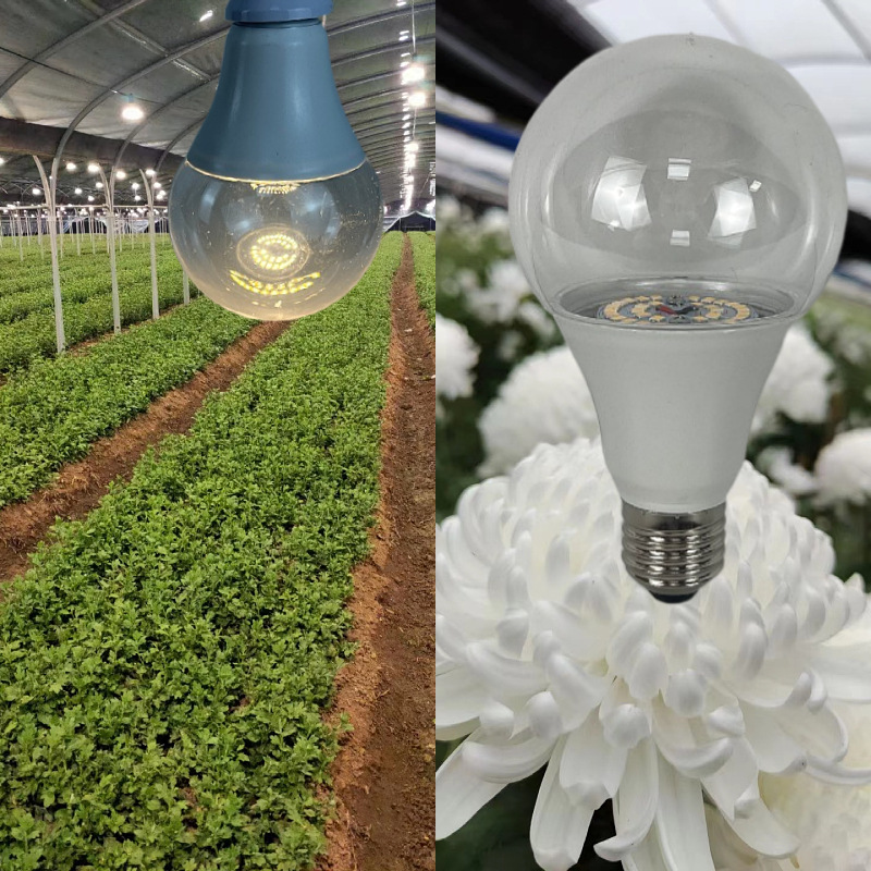 厂家直销植物生长灯泡LED 7瓦9瓦E27火龙果补光植物生长灯球泡灯