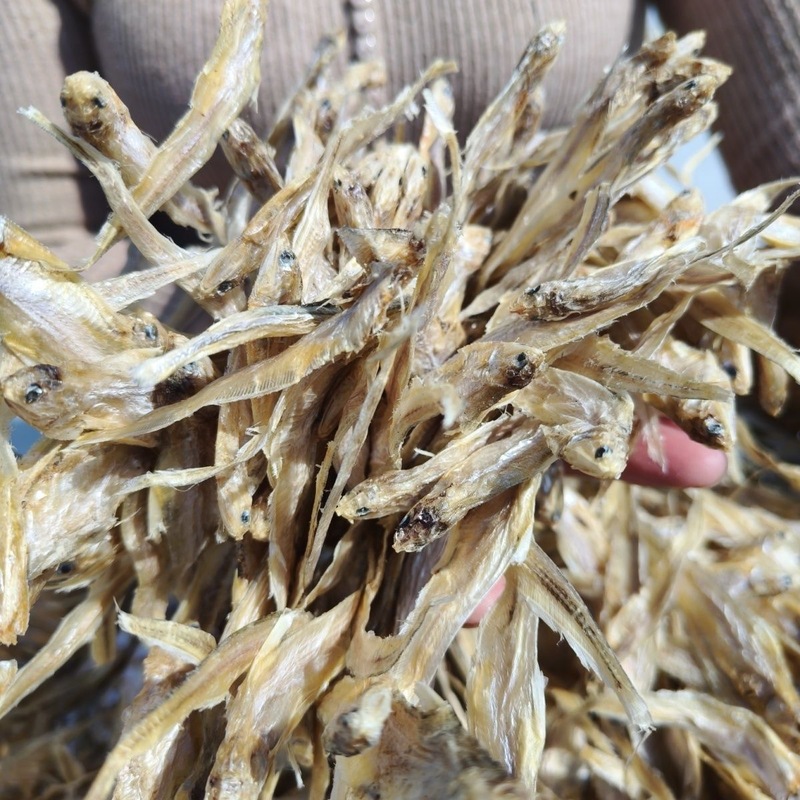 淡水无盐刨花鱼凤尾鱼干毛刀鱼干小河新鲜小干货下饭菜即食|undefined