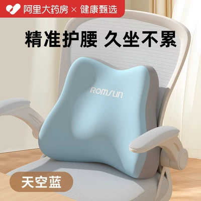Waist support Seat Backrest for Long Sitting - ergonomics-supporting-waist-support-sky-blue