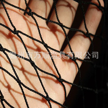 �O�W�нY�W��ˮ�Bֳ�W�r�W̧�W�ϾW�ϘO���r�W����ϩ�����K�W