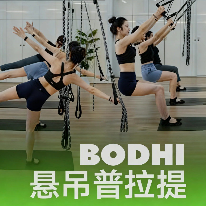 Bodhi Pilates Suspension Rope Four-Point Suspension Strap Universal Posture Shaping Training Equipment for Home and Gym Use