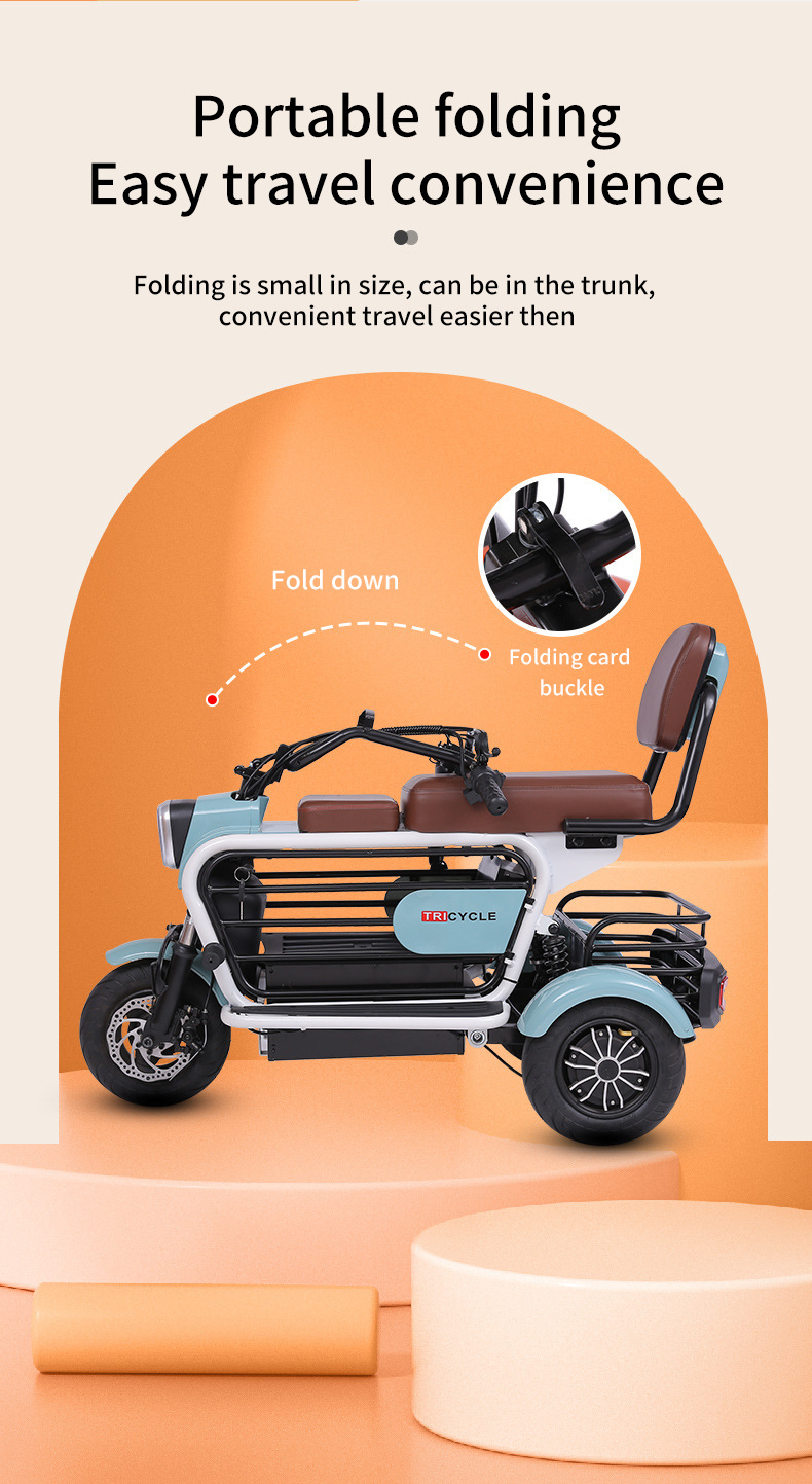 Electric Tricycle for Elderly/Pet Use