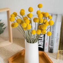 黄金球干花花束天然真花家庭家居装饰摆件摆设小清新拍摄diy材料