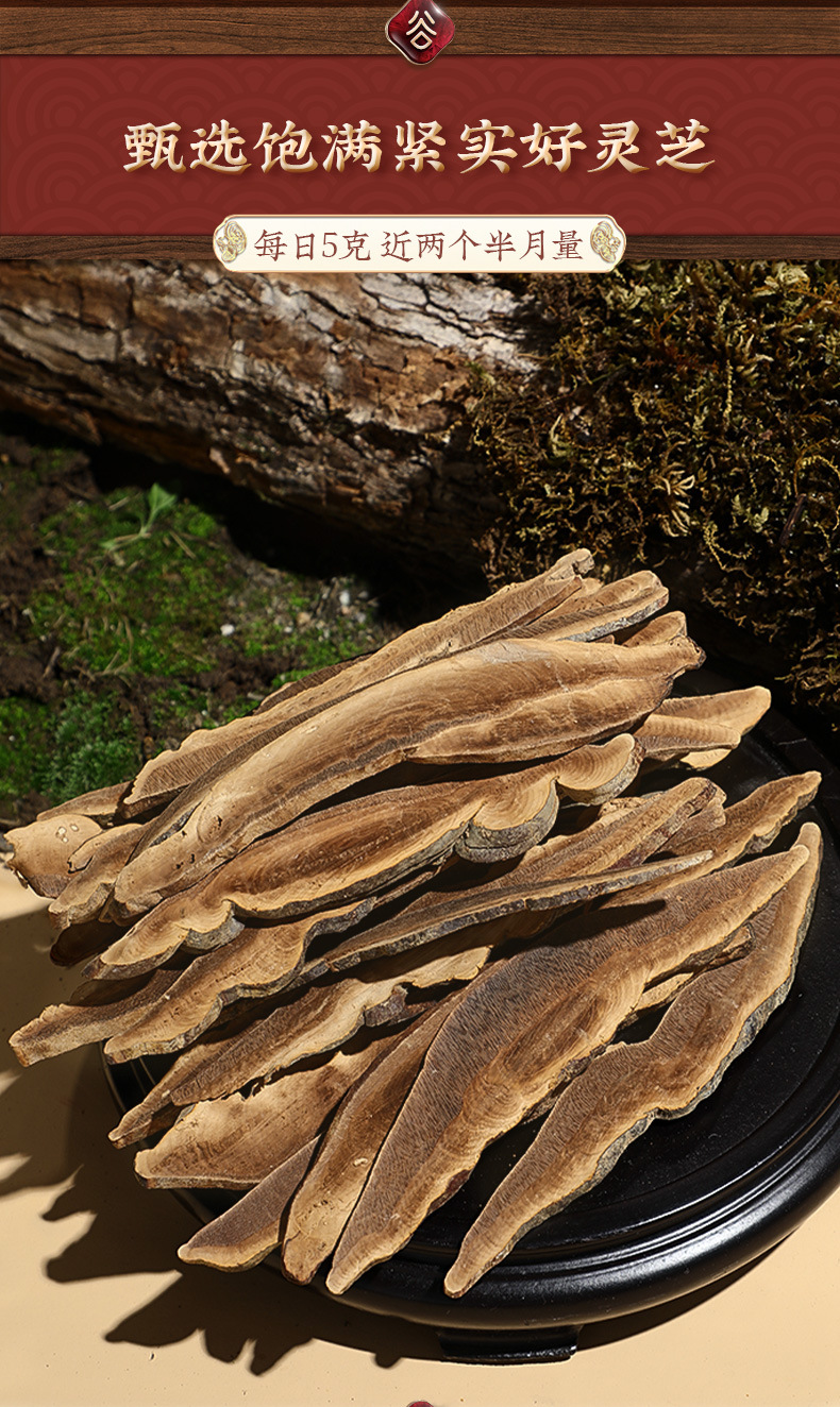 Dried Red Reishi Mushroom Slices Ling Zhi 350g Wild-Grown Changbai Mountain Ganoderma for Tea and Soup quality and texture