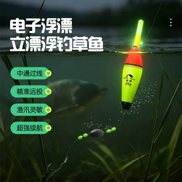 Electronic Luminous Float Fishing Set for Grass Carp, Strong Fishing Float for Hand Rods and Sea Rods, Specialized Lure Fishing Float Set