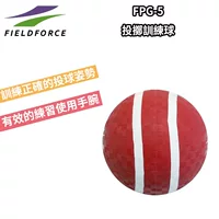 Тренировка бейсбольного питчера FIELDFORCE: удар, подача, поза, жесты, бросок мяча, тренировка софтбола.
