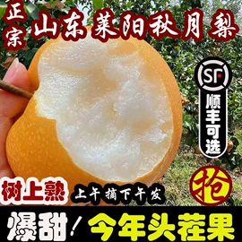 西式糕点;方便面类;膨化