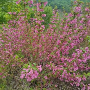 �\��  �t���\�� �ļ��\�� �\��С�� ���~�\�� �����\��