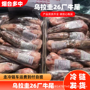 �������M��ţβ�������l���Ã�Ʒţ��ţβ���͏d��ţβ