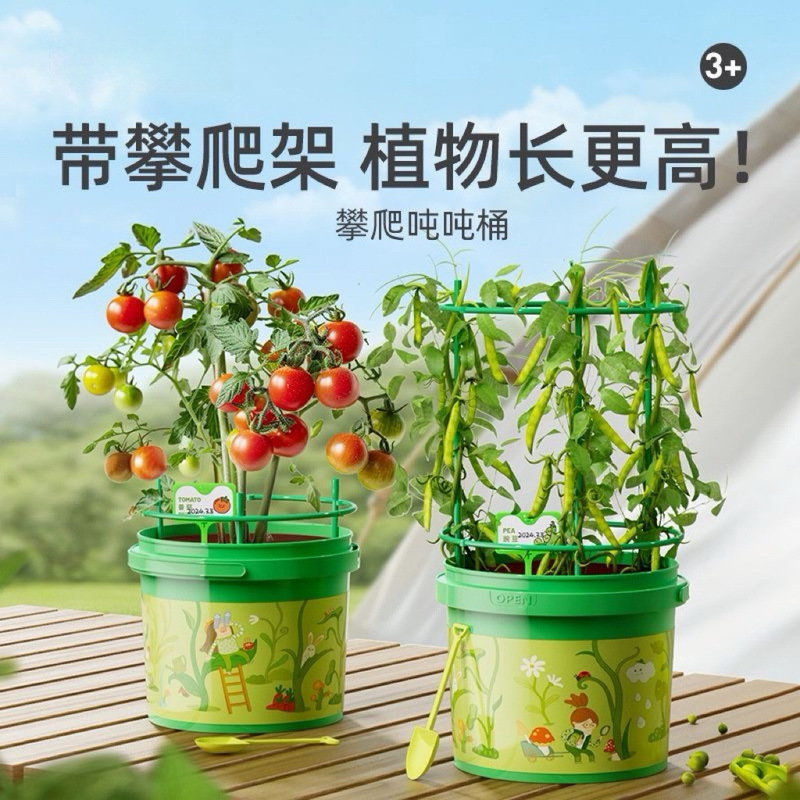 Climbing Bucket Set for Kids, Plant Growing Vegetable Greenhouse, Growth Observation Science Experiment Toy Gift