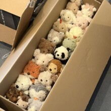 Little卷毛小动物系列卡通动物玩偶毛绒玩具儿童安抚娃娃礼物玩具