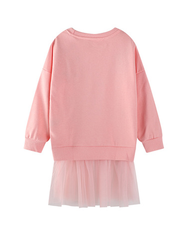 Children's Long Sleeve Sweatshirt Dress - Autumn New Arrival for European and American Girls, Sweatshirt Dress for Girls