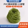 定制矮化植物绿色管