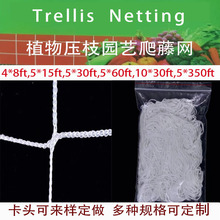 ��ɫ��]���پW���θ��ӾW�@ˇ�r�I�Nֲ���TrellisNettin����