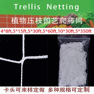��ɫ��]���پW���θ��ӾW�@ˇ�r�I�Nֲ���TrellisNettin����