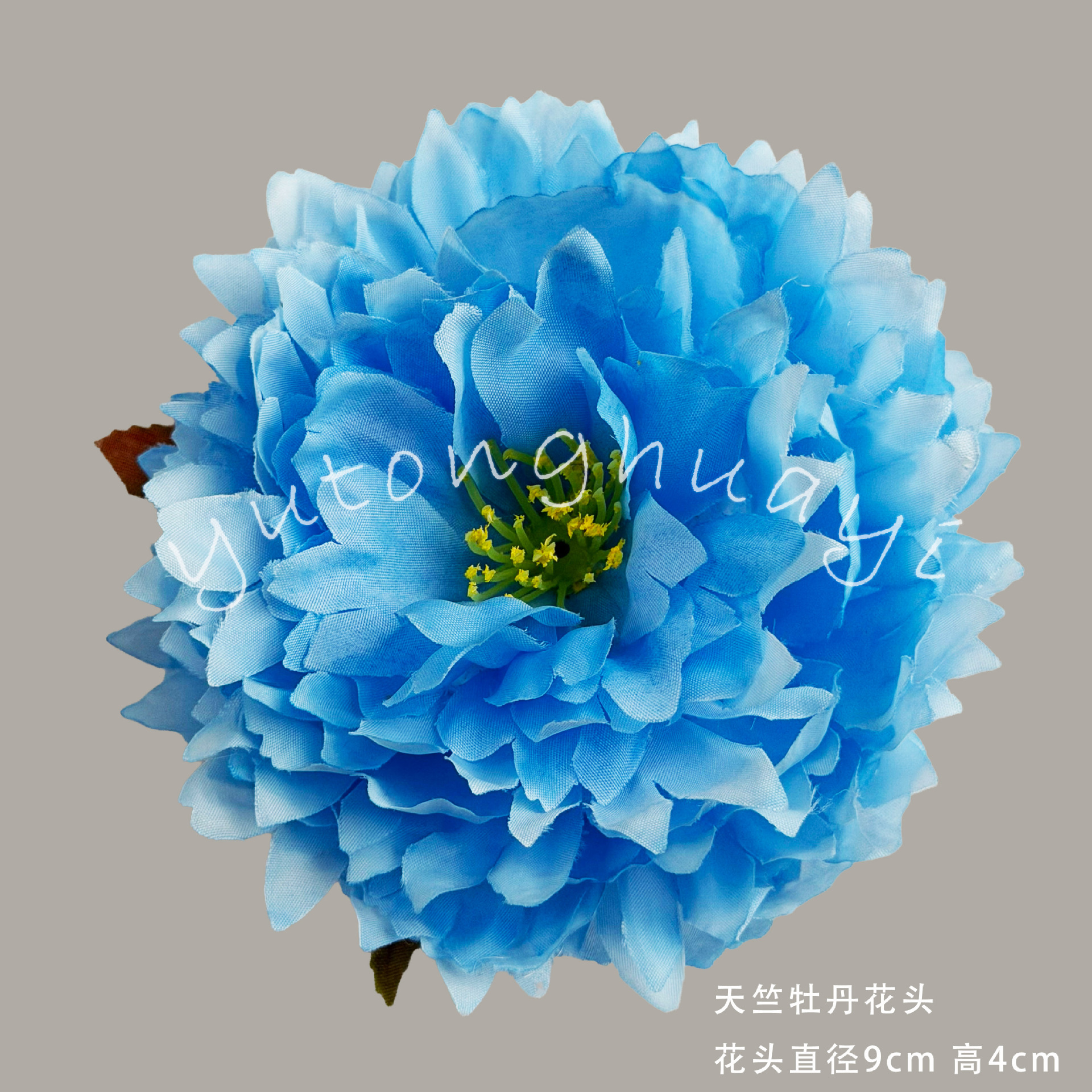 Tianzhu Peony Flower