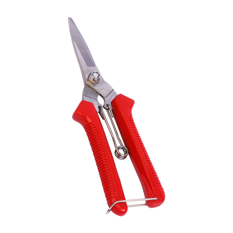 Gana grandes frutas recogiendo flores poda de uva poda de verduras y frutas bonsai poda vegetal tijeras de adelgazamiento de flores nácar naranja tijeras de recolección de frutas