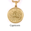 Sophisticated zodiac signs stainless steel, necklace, brand coins, pendant, European style