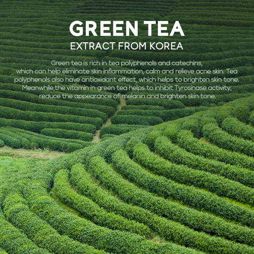 FENYI Toner Fenyi Green Tea Toner 100ml Moisturizing Moisturizing Water Skin Care Products Manufacturer