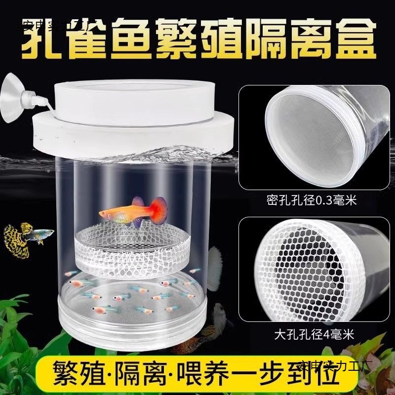 孔雀鱼繁殖隔离盒产卵桶母鱼孵化网产房小鱼幼鱼隔离透明产子产箱