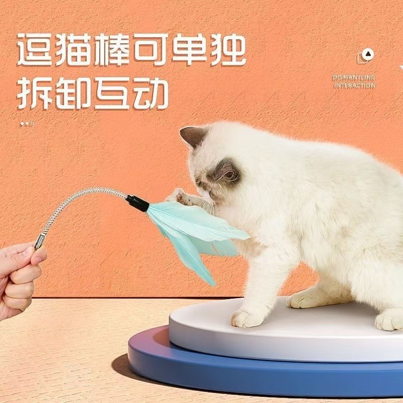 猫转盘玩具风车转盘球自嗨解闷逗猫棒逗猫神器幼猫逗猫球用品大全|undefined