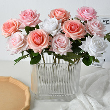 ����õ���ָб���õ�廨���ٻ��Wʽ��c�����b������컨�羳