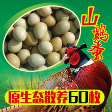 七彩山鸡蛋农村散养土鸡蛋30/50/60枚批发整箱五彩鸡蛋新鲜