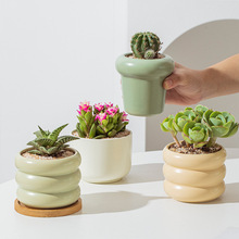 �W�t���⻨������ɐ�����Ȧ݆̥����С���Ԍ��þ����մ�С����