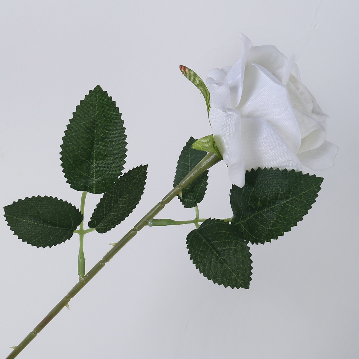 장미 흰색 한 송이 (벨벳)