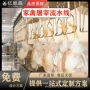 屠宰定制家禽机械
