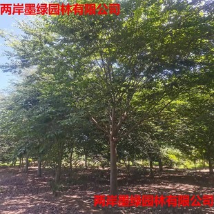 ���l���ڙΘ���t��ľС��Θ���繤���е��G�����G�Θ�С����u