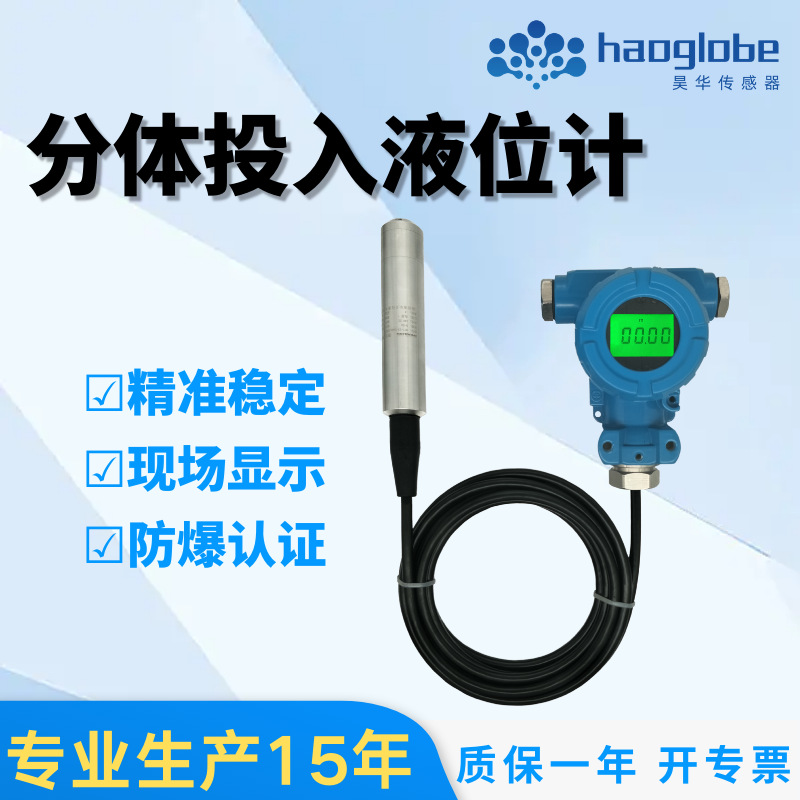 HPT-34分体投入式液位变送器扩散硅水位计RS485水防爆传感器数显
