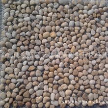 三彩石自由铺贴 网贴石 水洗石 水刷石 鹅卵石马赛克小理石洗石米