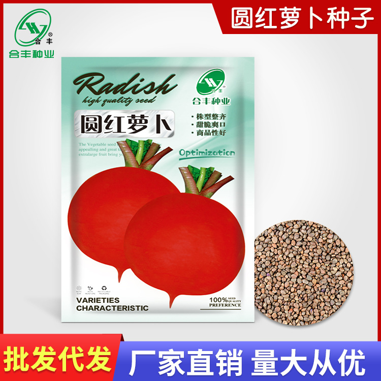 圆红萝卜种子水果红萝卜特大红皮白心樱桃萝卜红圆蔬菜萝卜种籽子