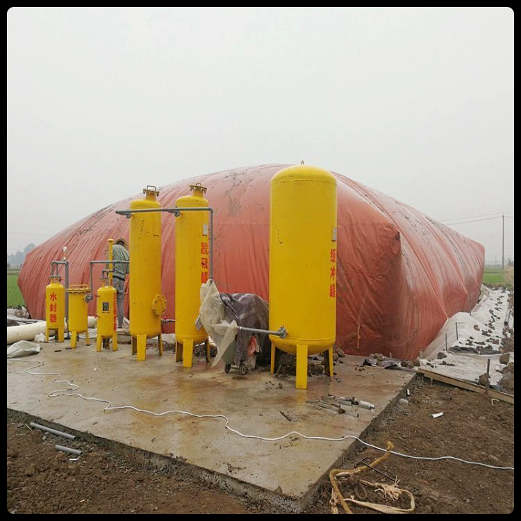 Qiyuan Биогазовая башня для удаления серы из биогаза Сухое оборудование для обезвоживания биогаза