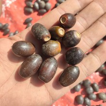 1kgñ𚤹ɹɭϵҾbƷֹdiyĔz