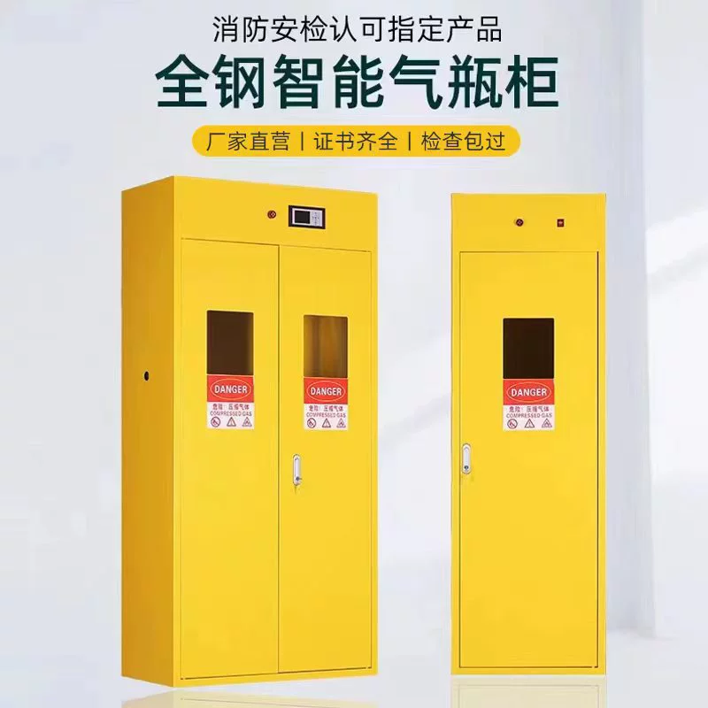 Шкаф для газовых баллонов Hedde Sega, взрывозащищенный, с сигнализацией, для лабораторий, на два баллона, для сжиженного газа, стальной, для ацетилена