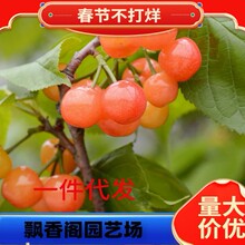 ��Ʒ�N�����۝����Ҙ���޽�܇������ͥԺ���Ա��Ϸ��N�������