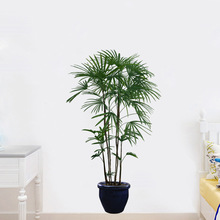厂家新款绿叶绿植盆栽墙贴画客厅卧室走廊玄关儿童房装饰画KSA-7G