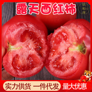����¶�����t��5���������r�����߲�10���l���]3ˮ����Ϸ�������